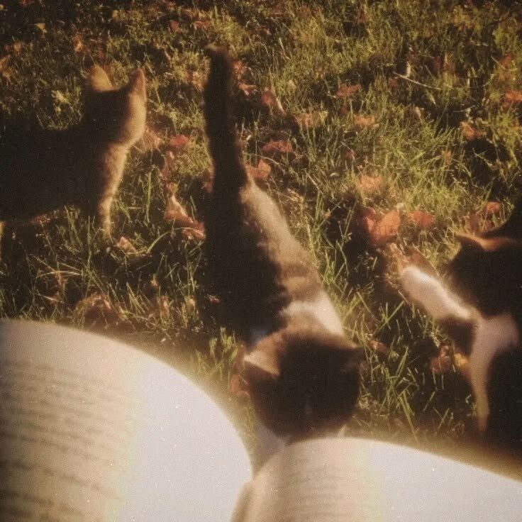 reading.jpg